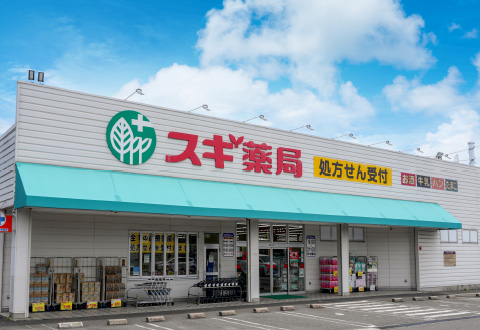 スギ薬局 武豊南店