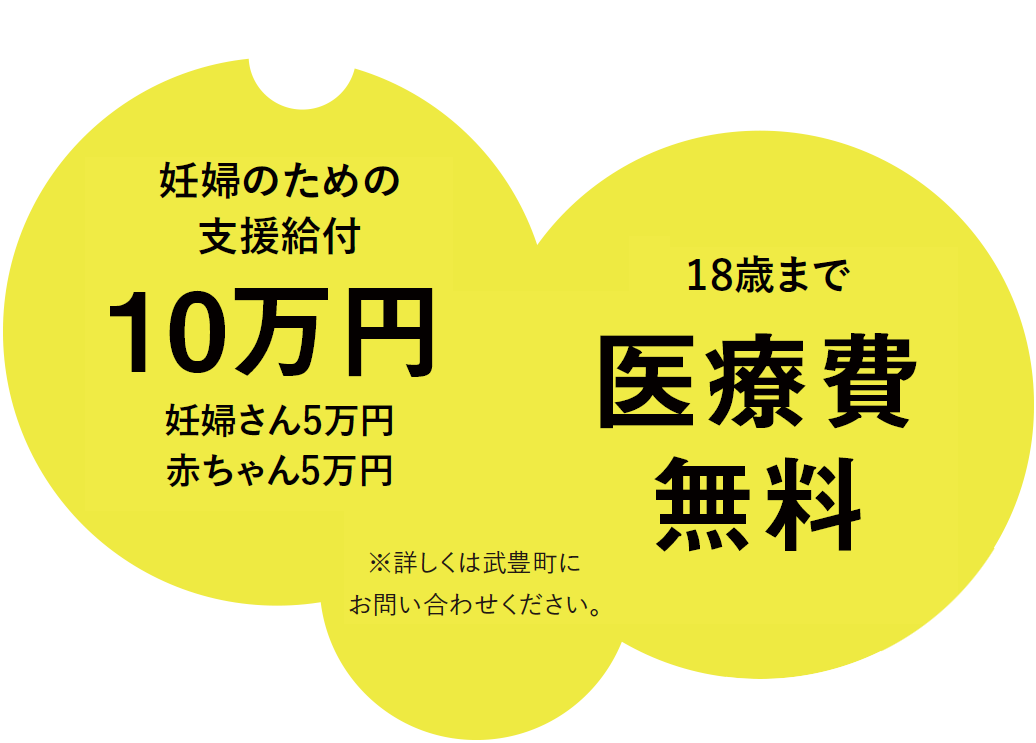 妊婦のための支援給付10万円、18歳まで医療費無料